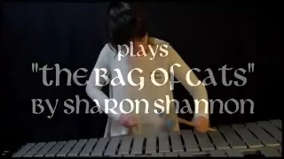 Celtic Vibes plays The bag of cats (Sharon Shannon)