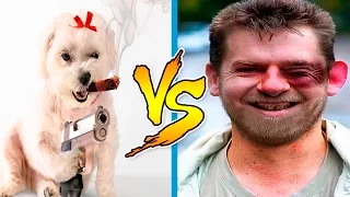 Cats And Dogs vs People - Funny Animals Attack Humans - Funny Animals Get Their Revenge Part 2