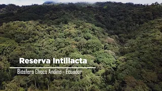 Ecuador conservation experience Intillacta