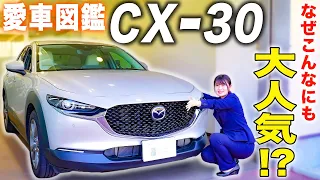 【愛車図鑑CX-30】わんちゃんも快適！？家族みんなに大人気のSUV！内外装試乗レビュー！