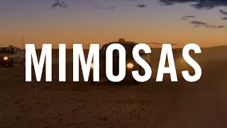 MIMOSAS | Tráiler Oficial (VOSE) | 5 de enero en cines