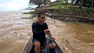 Pescando nas águas BARRENTA do RIO SOLIMÕES na AMAZÔNIA#pescaria #fish #fishing #riosolimoes