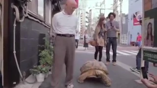 Meet 63 year old man with his faithful tortoise