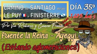 Camino de Santiago Vía Podiensis y C. Francés DIA 35⁰ Puente la Reina - Ayegyi  23,4 km's