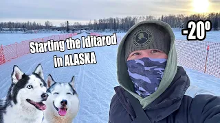 I froze in Alaska at the Iditarod, and reindeer chased me 😱