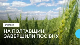 На Полтавщині аграрії завершили весняну посівну