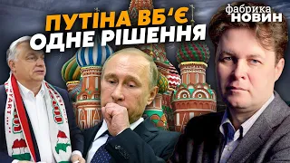 🔥МАГДА: Орбан переплюнул Лукашенко, Россия распадется без бунта, пропагандисты паникуют