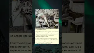 N_Ад для космонавта в СССР