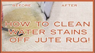 HOW TO CLEAN WATER STAINS OFF JUTE RUG FAST!