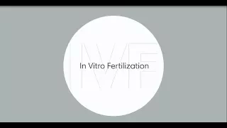 What is in vitro fertilization (IVF)?