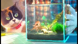 WE CREATE A UNDERWATER TERRARIUM!