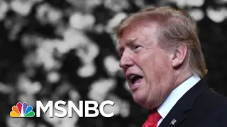 Trump Appears To Say He Wants The Mueller Report 'Oranges' Investigated | The 11th Hour | MSNBC