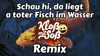 Schau hi, da liegt a toter Fisch im Wasser (Kloß mit Soß Remix)