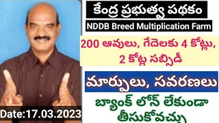 Video-2: NDDB Breed Multiplication Farm for Buffaloes and Cows. Certain Modifications in Telugu