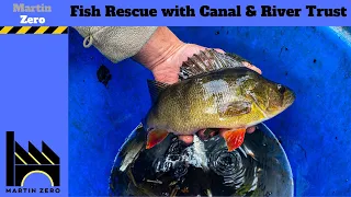 Fish Rescue with the Canal & River Trust