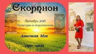 Таро прогноз на декабрь 2018 Скорпион. Анастасия Мон. Чувства и отношения.