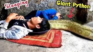 Close-Up Of The Giant Python Crawling Into House Attacks People While Taking a Nap | Mike Vlogs