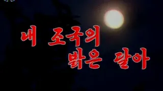 【北朝鮮音楽】내 조국의 밝은 달아（我が祖国の明るい月よ）普天堡電子楽団