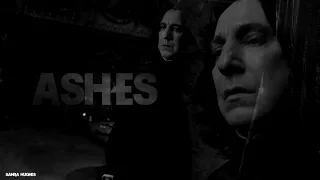 severus snape | ashes