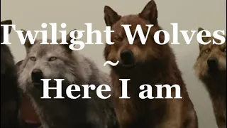 Twilight wolves- here I am