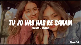 Tu Jo has has Ke Sanam Mujhse Baat Karti Hai || (90's Slowed and Reverb song)