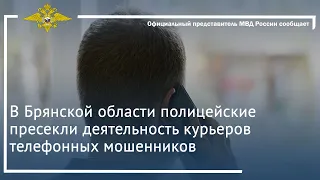 Ирина Волк: В Брянской области полицейские пресекли деятельность курьеров телефонных мошенников