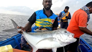 Catching Giant Trevally Fish, Mangrove Jack & Barracuda Fish in the Deep Sea