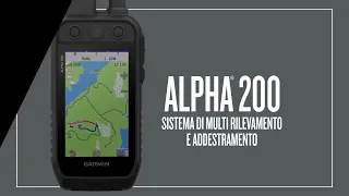 Sistema di rilevamento e addestramento cinofilo Garmin Alpha 200