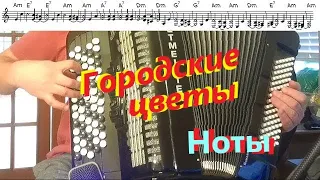 Городские цветы - на баяне - кавер, разбор, ноты