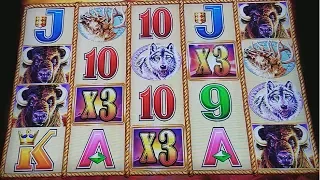 Huge Jackpot Handpay!!! Buffalo Gold Slot Machine