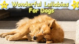 Relaxing Sleep Music For Dogs And Puppies ♫ Calm Your Dog