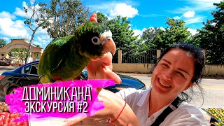 Доминикана. Экскурсии в Доминикане №2