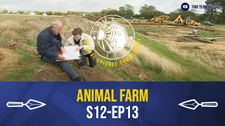 Time Team Commentary: 'Animal Farm' | S12E13