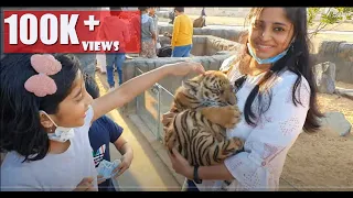 Dubai Safari Park | Dubai Zoo | Umm Al Quwain Zoo