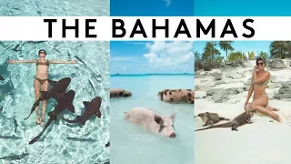 SWIMMING WITH PIGS & SHARKS IN THE BAHAMAS! | Sorelle Amore