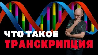 Что такое транскрипция? Душкин объяснит