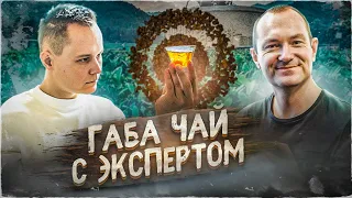 ГАМК | ГАБА ЧАЙ | ЧТО ТАКОЕ? | ЗАЧЕМ? | Art of Tea, китайский чай