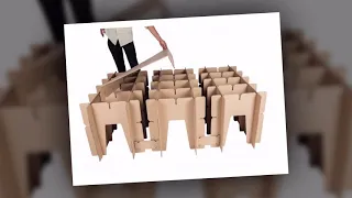 Cardboard beds