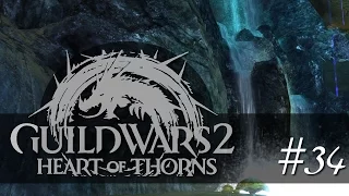 #34 Schon wieder voll! ▪ GUILD WARS 2 Heart of Thorns (deutsch/german/HD+)