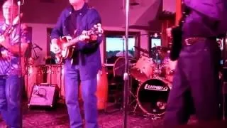 The Plagues "Why Can't You Be True" LIVE! 2016 reunion - Fenton Records garage rock!