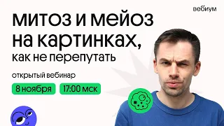 Митоз и Мейоз. ЕГЭ по Биологии. Даниил Дарвин. Вебиум