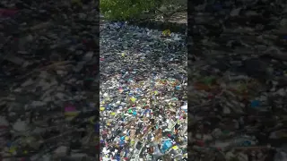 Huge waves of plastic destroying the ocean