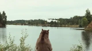 Виктор Королев. Лучшие песни. А поезд чух чух чух