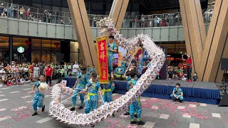 【2023 馬來西亞龙狮节大汇演】World Dragon & Lion Dance Extravaganza (Msia)~ Dragon Dance by Xuan Long 玄龙舞龙表演 #8