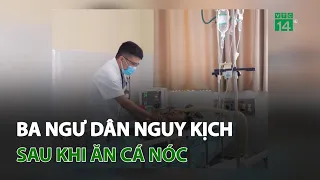 Ba ngư dân nguy kịch sau ăn cá nóc | VTC14