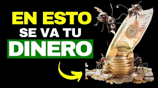 10 Pequeños GASTOS que te ROBAN el DINERO  Gastos Hormiga