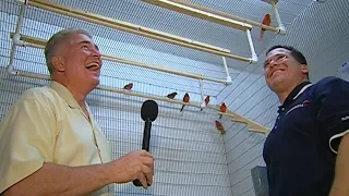 Visiting with Huell Howser: Red Canaries