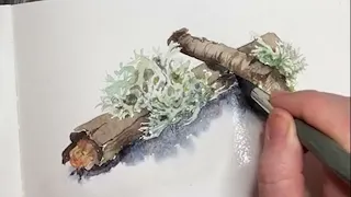 Mastering the Art of Watercolor: Painting a Lifelike Lichen Twig Tutorial