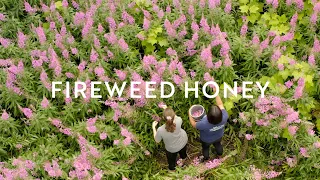 Honey w/o Bees? | Tlingit & Haida Harvest “Fireweed & Clover Honey” S1 E3