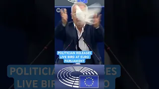 Slovakian Politician releases live bird at European Parliament As Gesture Of Peace | 10 News First